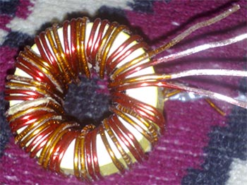 img12.jpg